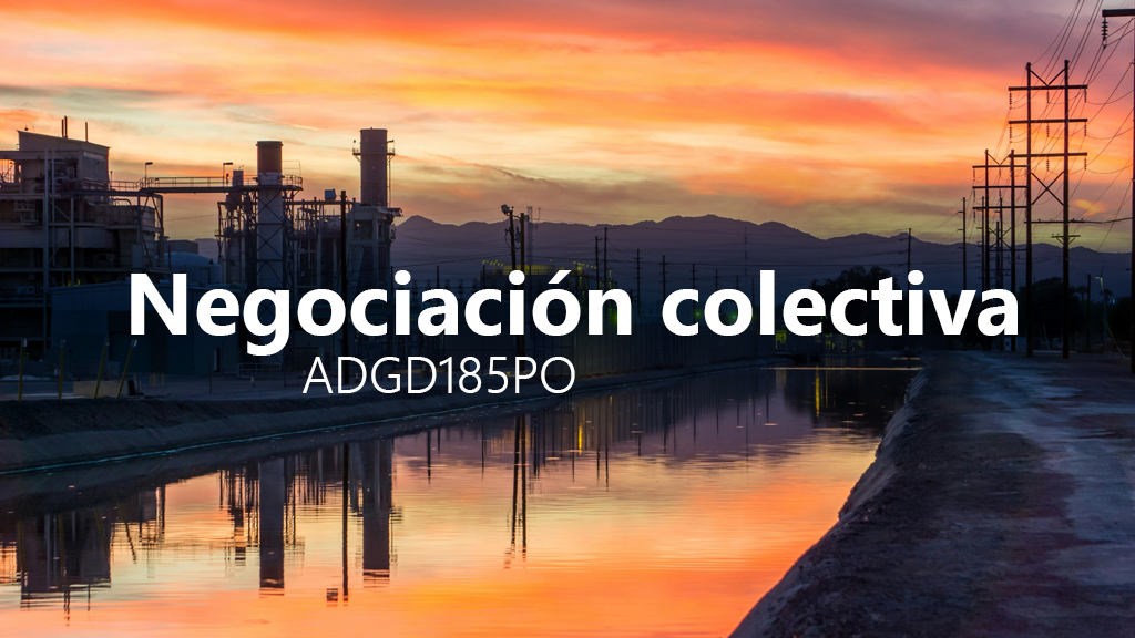 Curso de Negociaci&oacute;n colectiva (ADGD185PO)