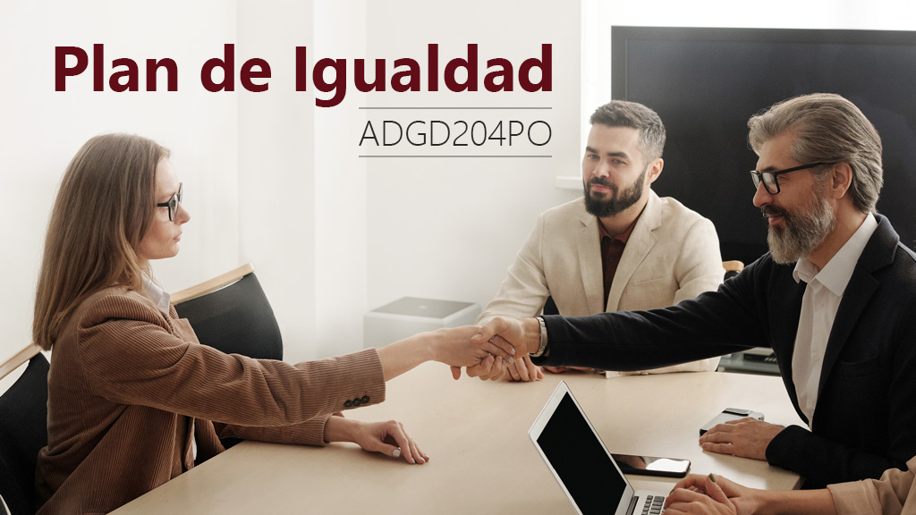Curso de Plan de igualdad (ADGD204PO)