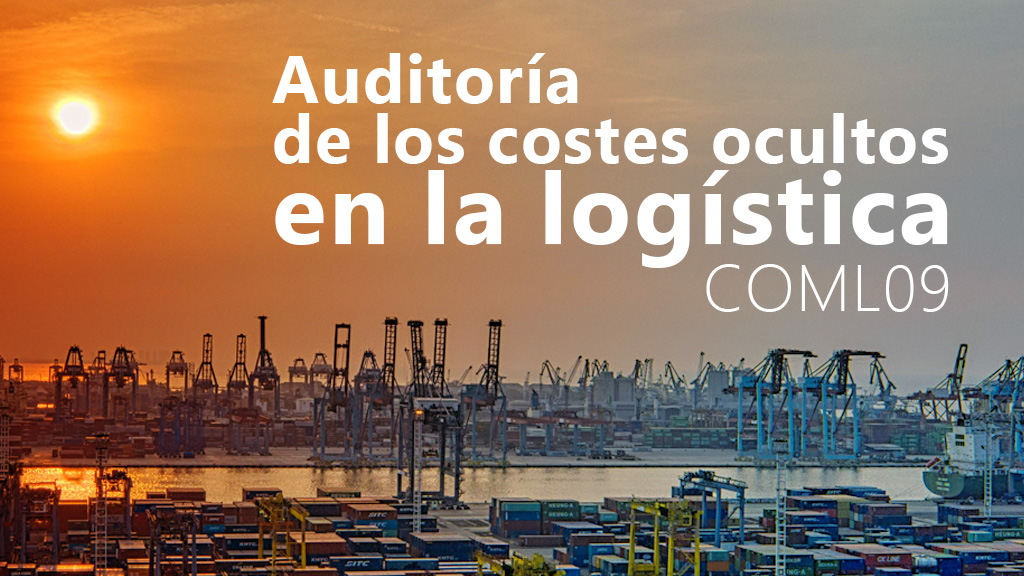 Curso de Auditoría costes ocultos logística (COML09)