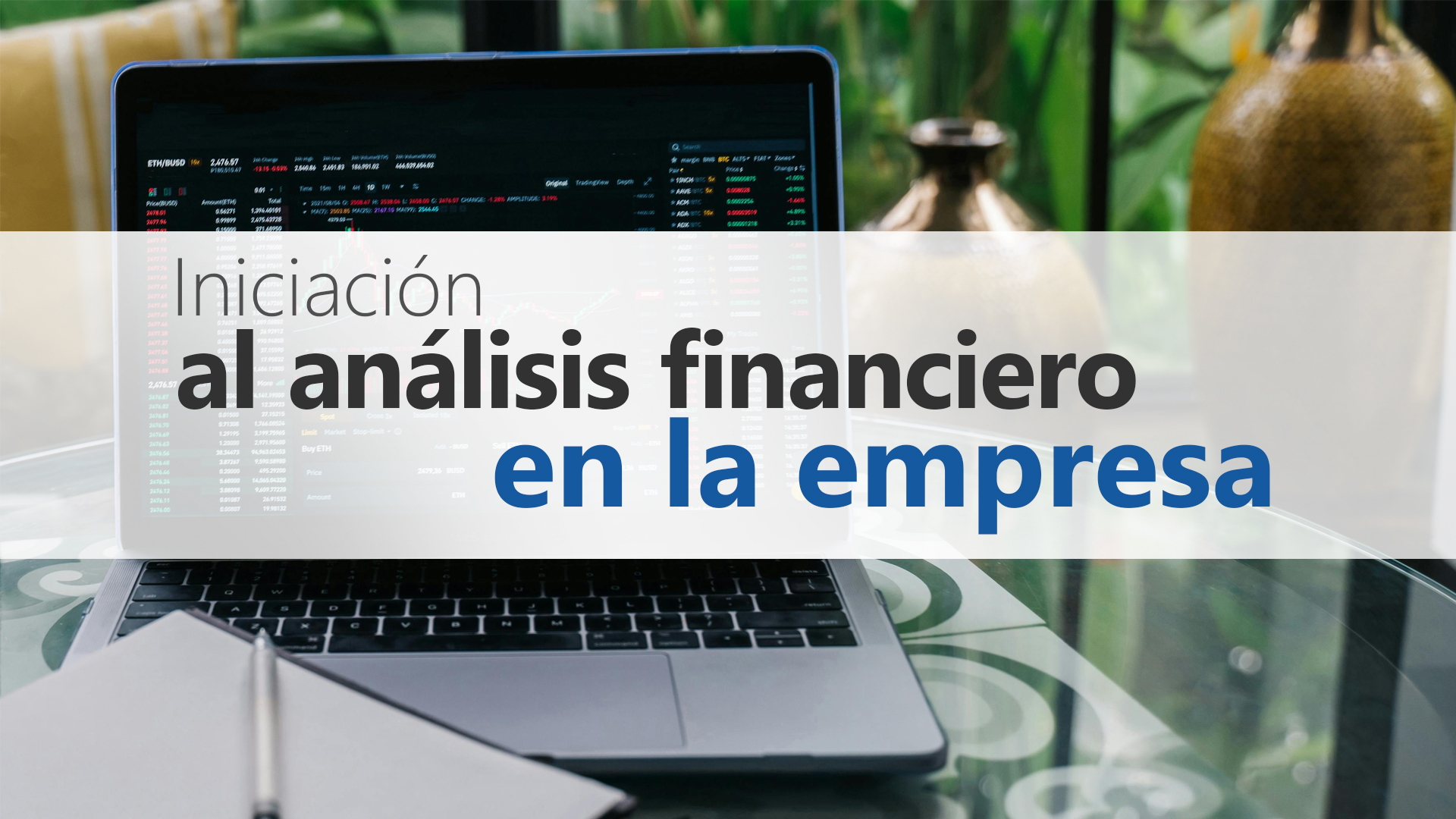 Curso de Iniciaci&oacute;n al an&aacute;lisis financiero en la empresa