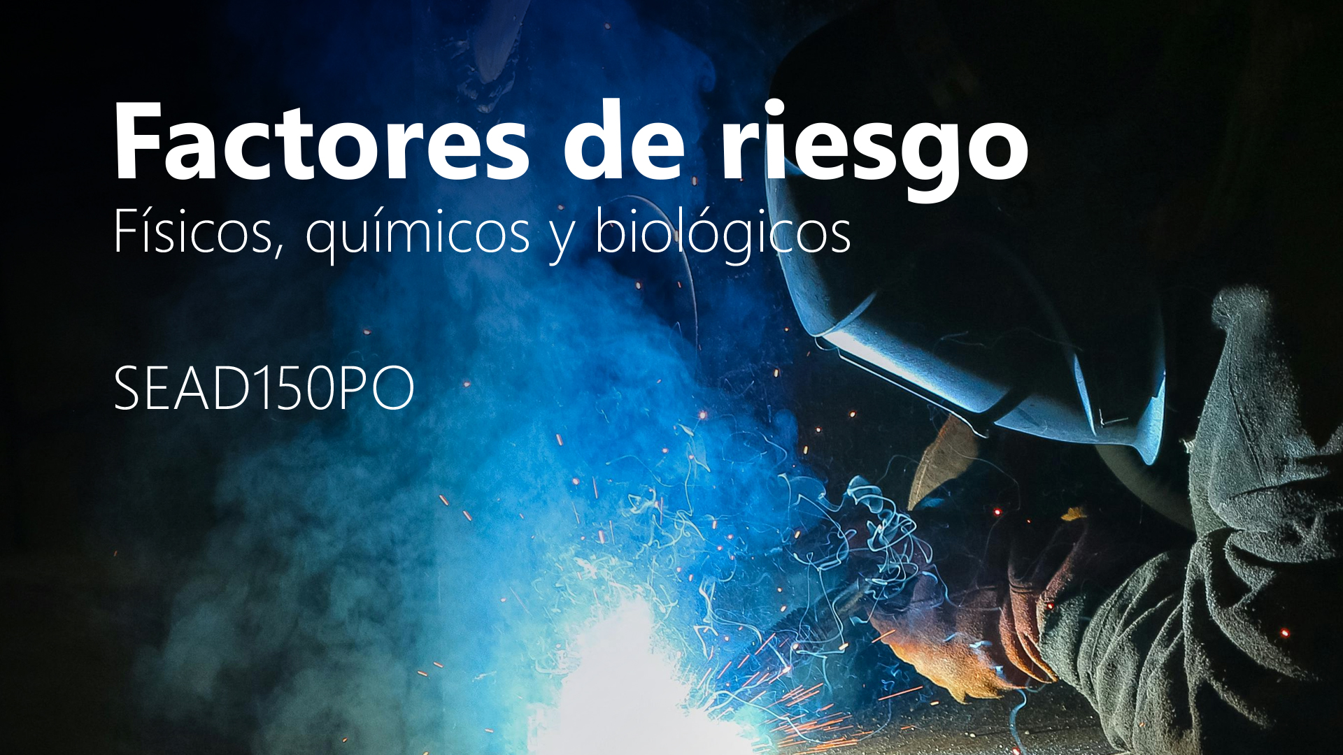 Curso de Factores de riesgo: f&iacute;sicos, qu&iacute;micos y biol&oacute;gicos