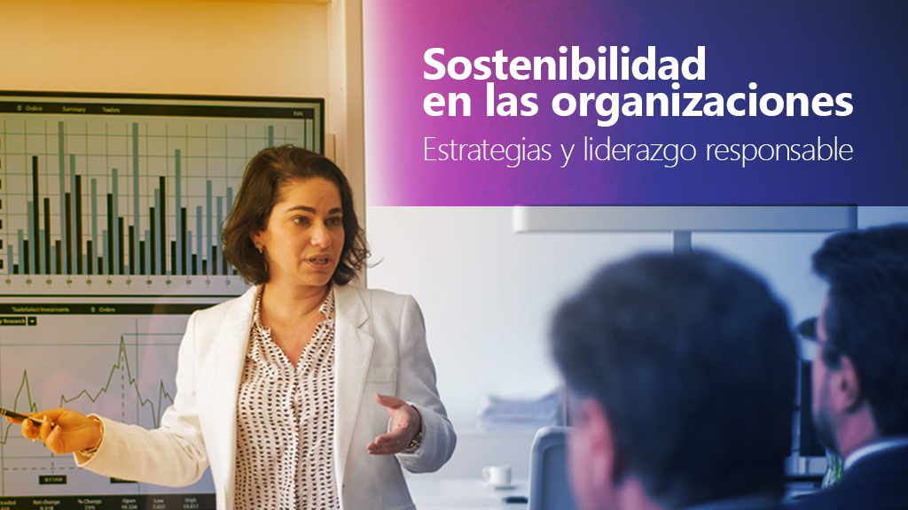 Curso de Sostenibilidad en las organizaciones