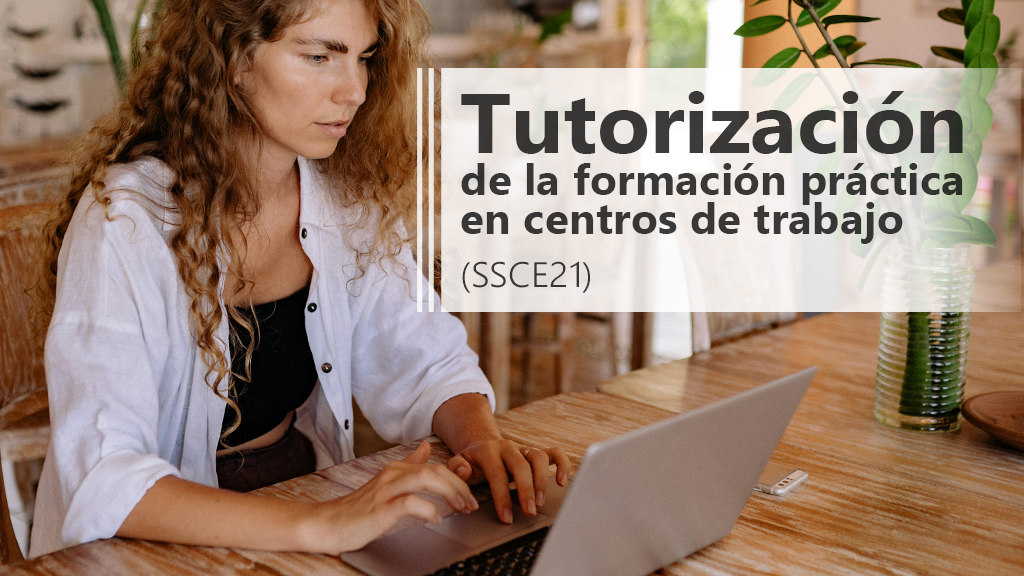 Curso de Curso de Tutor@s de Empresa para FP